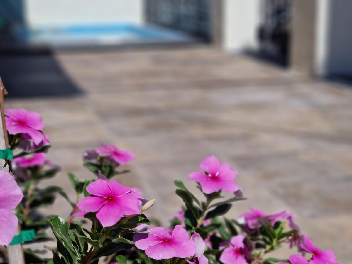 فيلا Del Parque Flats Balneario De Pina مالقة المظهر الخارجي الصورة